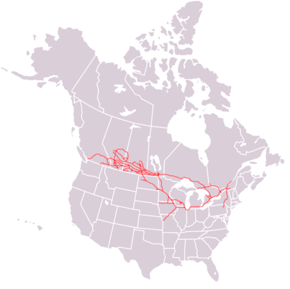 파일:external/upload.wikimedia.org/1280px-Canadian_Pacific_System_Railmap.png