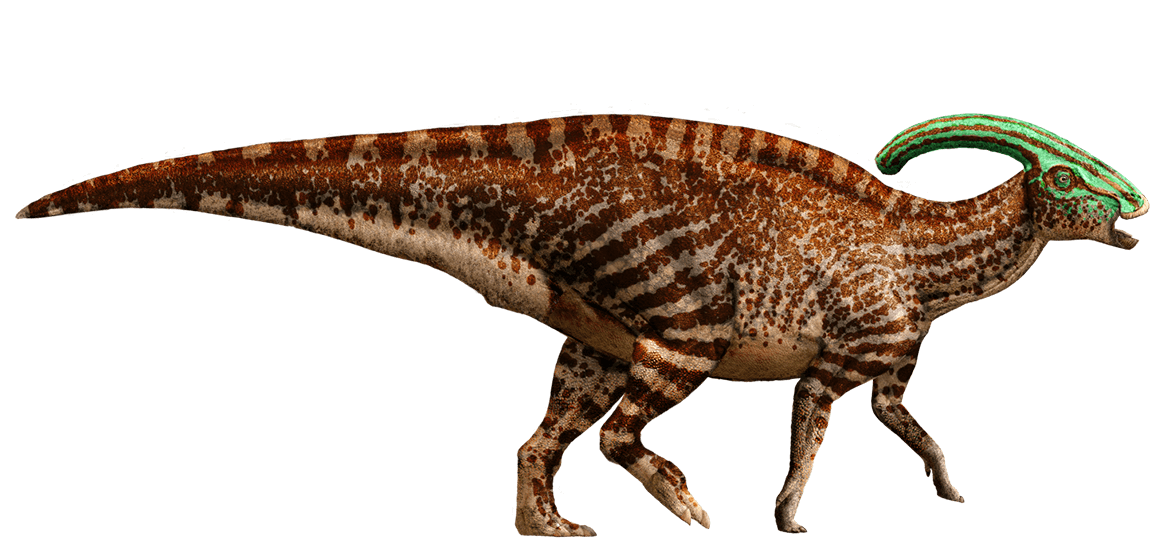 파일:Parasaurolophus-detail-header.png