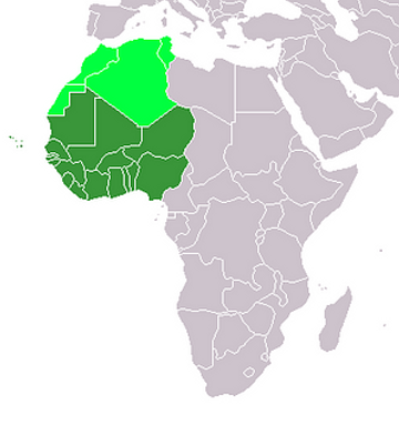 파일:서아프리카 위치.png