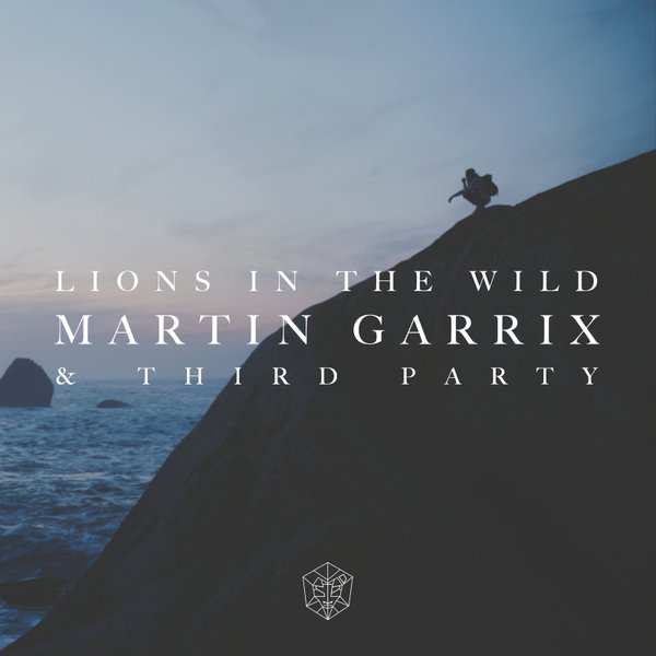 파일:martin-garrix-lionsinthewild.jpg