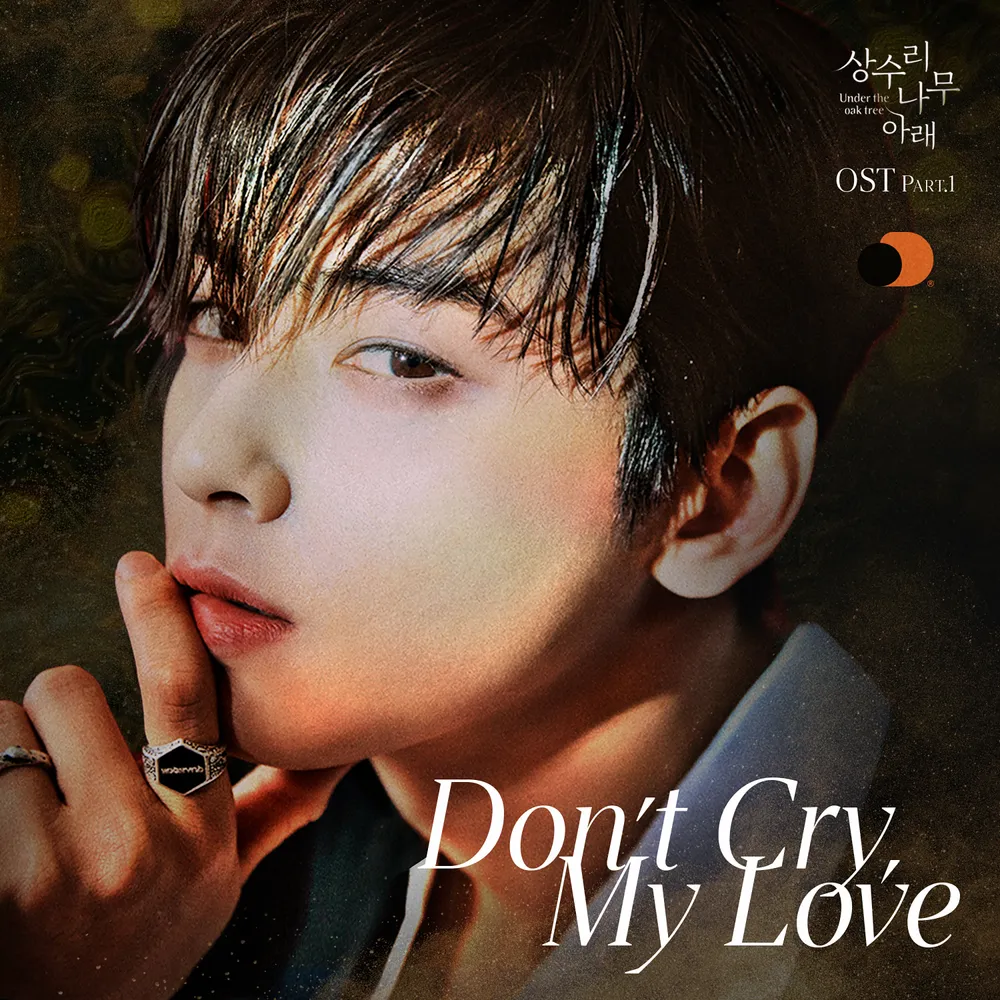 파일:Don’t Cry, My Love.jpg