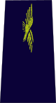 파일:external/upload.wikimedia.org/80px-French_Air_Force-aviateur.svg.png