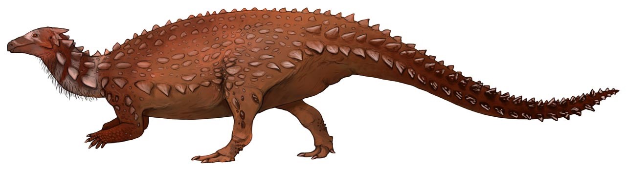 파일:Scelidosaurus-harrisonii.jpg