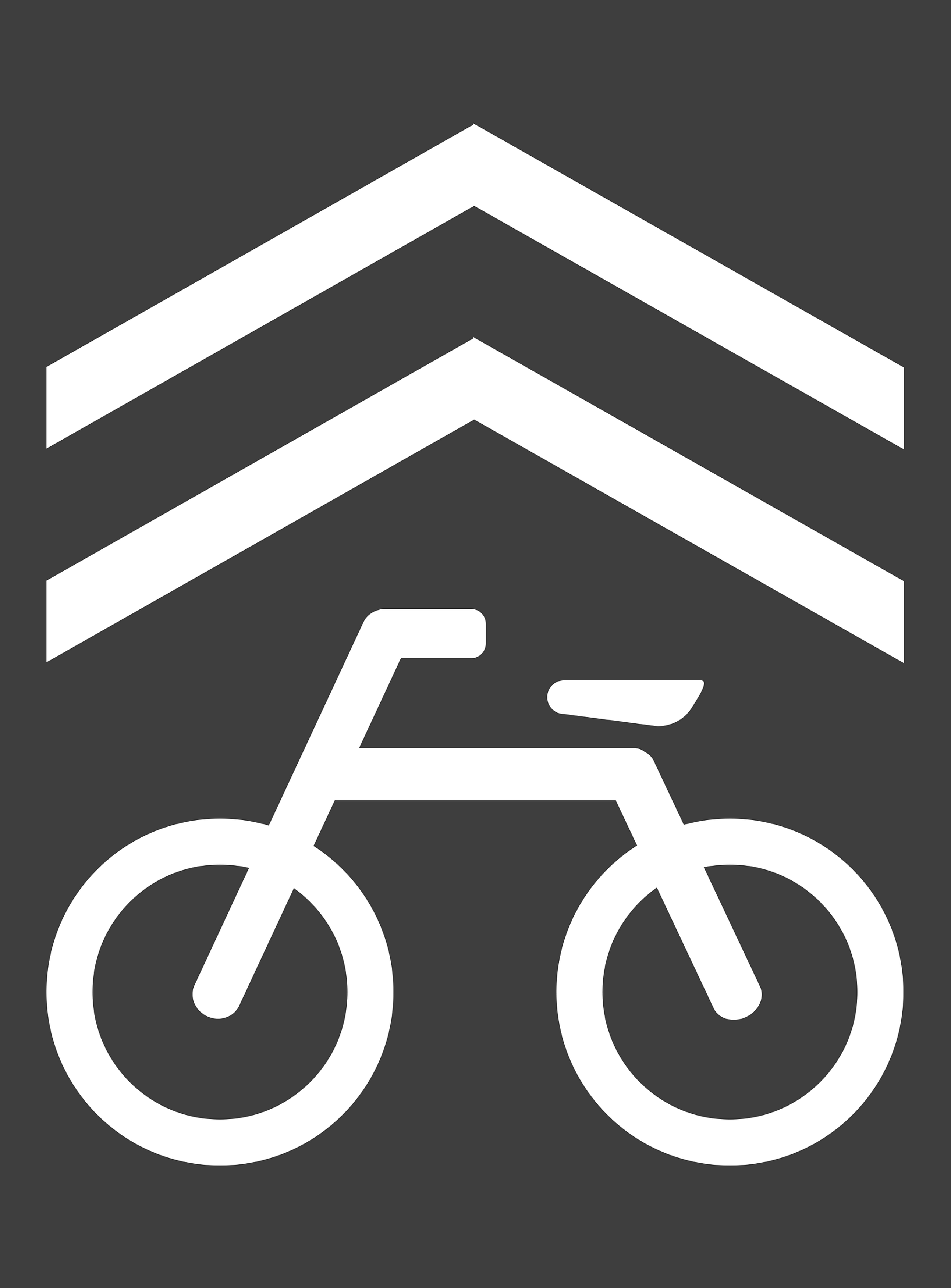 파일:자전거우선도로 표시.png