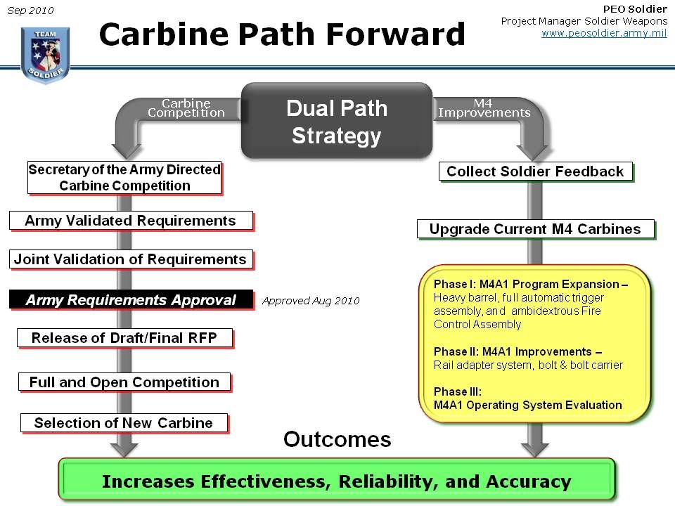 파일:Dual-Path-Strategy.jpg