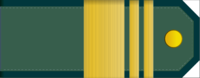 파일:external/upload.wikimedia.org/200px-Senior_Sergeant_rank_insignia_%28North_Korean_police%29.png