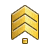 파일:external/wiki.erepublik.com/Icon_rank_Sergeant%2A.png