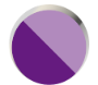 파일:icn_violet_2.png