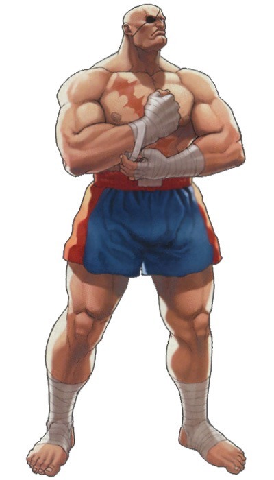 파일:Sagat_Street Fighter EX 2 Plus_Artwork.jpg