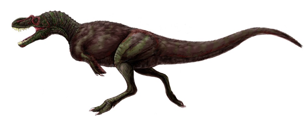 파일:external/upload.wikimedia.org/Appalachiosaurus_montgomeriensis.jpg