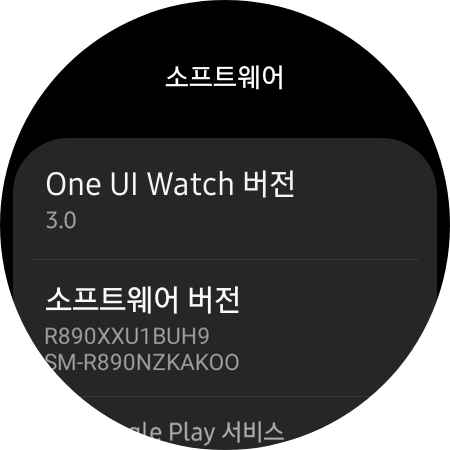 파일:One UI Watch 3_Version.png