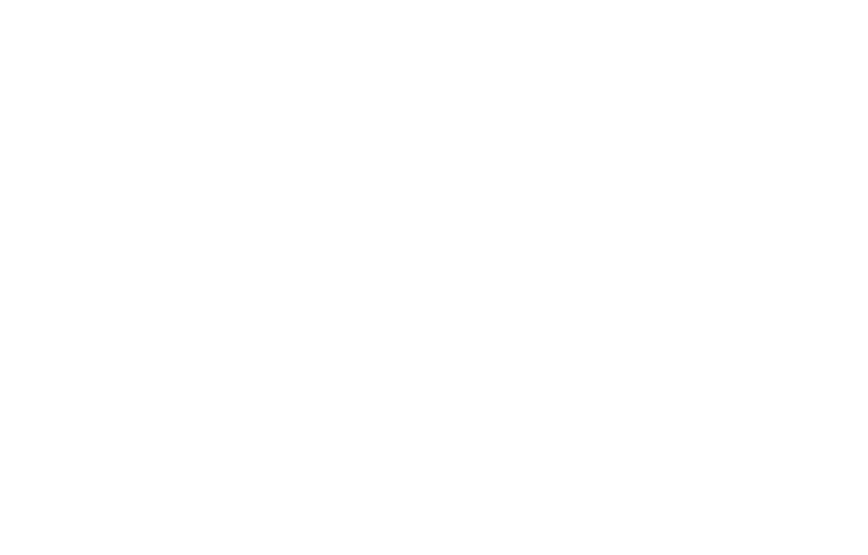 파일:Silver Linings Playbook Logo.png