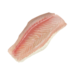 파일:warframe_fish_meat.png