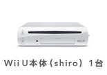 파일:attachment/Wii U/main_shiro1.jpg