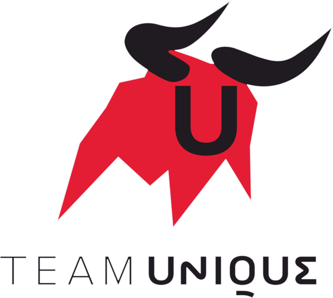 파일:672px-Unique_Team_Logo_text.png