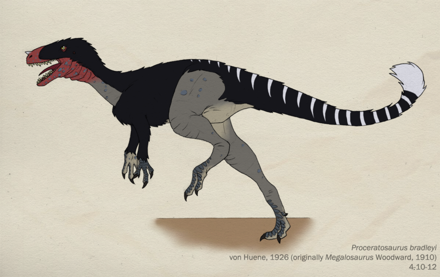 파일:external/fc08.deviantart.net/029__proceratosaurus_bradleyi_by_green_mamba-d4vv1ej.png