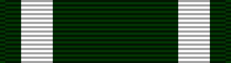 파일:800px-Navy_and_Marine_Corps_Commendation_Medal_ribbon.svg.png