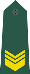 파일:Taiwan-army-OR-5.svg.png