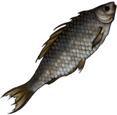 파일:DayR_Dried fish.png