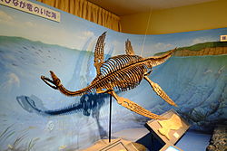 파일:external/upload.wikimedia.org/250px-Plesiosaurus_in_Japan.jpg