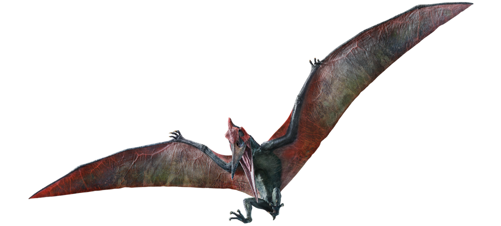 파일:1440x651_0004_pteranodon_0.png
