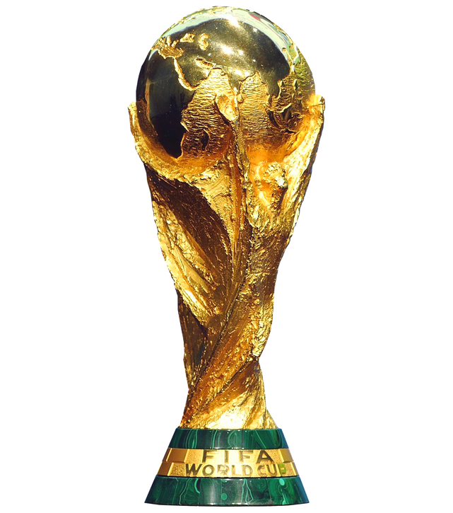 파일:FIFA 월드컵 트로피.png