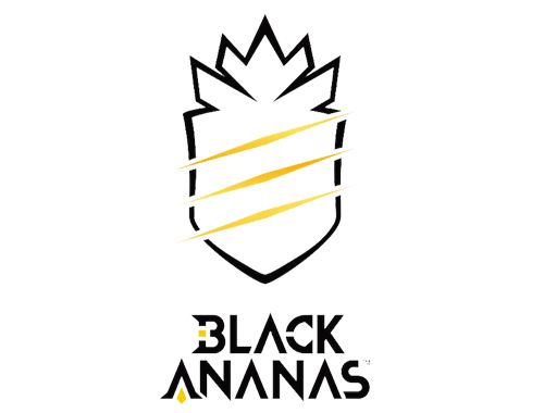 파일:Black Ananas_logo.png