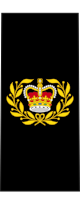 파일:external/upload.wikimedia.org/80px-Canadian_RCN_OR-8.svg.png