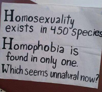 파일:external/collectivelyconscious.net/homosexuality-exists-in-450-species-homophobia-is-found-in-only-one-which-seems-unnatural-now.jpg