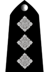 파일:external/upload.wikimedia.org/100px-Uk-police-04.png