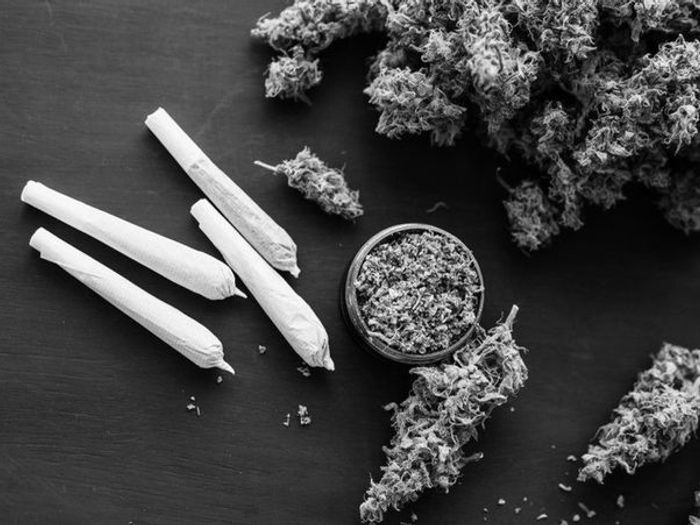 파일:marijuana-joints-with-flower-buds-grinder-700px.jpg