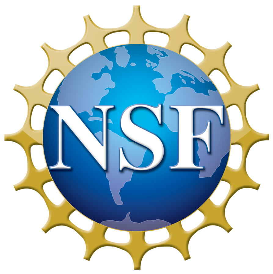 파일:894px-NSF_logo.png