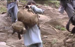 파일:external/upload.wikimedia.org/265px-Operation_Redwing_2005_Afghanistan_militants.png