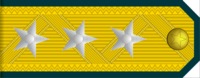 파일:external/upload.wikimedia.org/200px-Colonel_General_rank_insignia_%28North_Korean_police%29.png