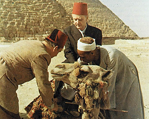 파일:1951-04-18-Aegypten-Muck.jpg