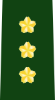 파일:external/upload.wikimedia.org/80px-JGSDF_Lieutenant_General_insignia_%28b%29.svg.png