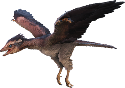 파일:ARK_archaeopteryx.png