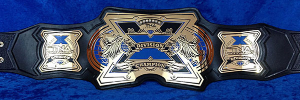파일:external/upload.wikimedia.org/New_TNA_X_Division_Championship.jpg