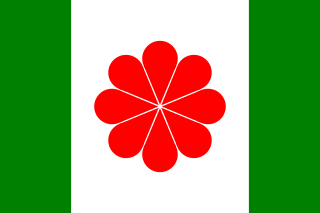파일:320px-Flag_of_Taiwan_proposed_1996.png