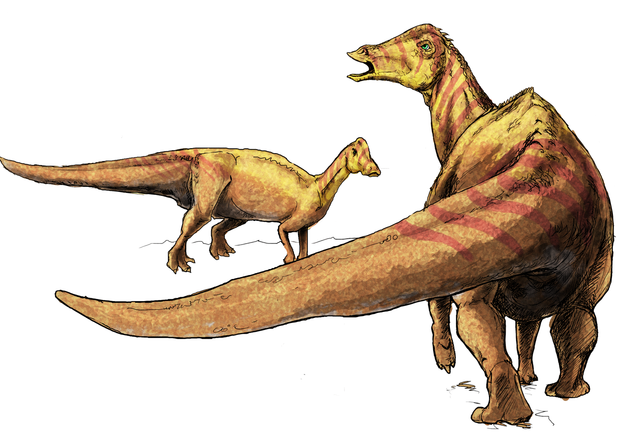 파일:external/upload.wikimedia.org/640px-Nipponosaurus_dinosaur.png