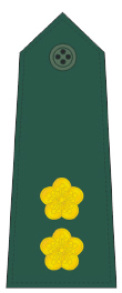 파일:external/upload.wikimedia.org/Lieutenant_Colonel_rank_insignia_%28ROC%29_-_V.jpg