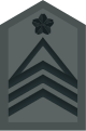 파일:external/upload.wikimedia.org/80px-JASDF_Senior_Master_Sergeant_insignia_%28miniature%29.svg.png