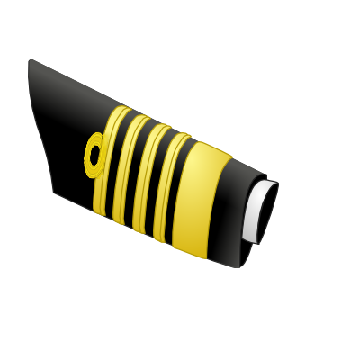 파일:IN_Admiral_of_Navy_Sleeve.png