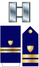 파일:external/upload.wikimedia.org/80px-US_CG_O3_insignia.svg.png
