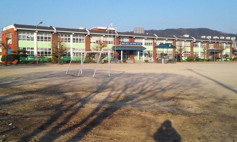 파일:화랑초등학교 경북 전경.jpg