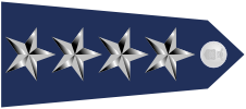 파일:external/upload.wikimedia.org/US_Air_Force_O10_shoulderboard-horizontal.png