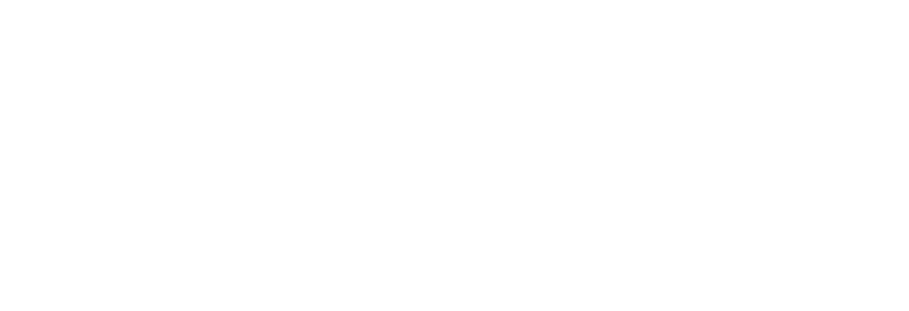 파일:Goal II Living the Dream Logo.png