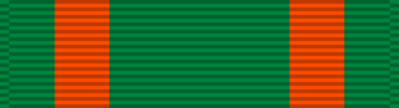 파일:Navy_and_Marine_Corps_Achievement_Medal_ribbon.svg.png