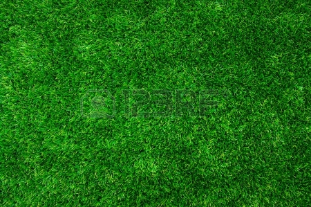 파일:external/us.123rf.com/17131877-background-of-a-green-grass-texture-green-lawn.jpg