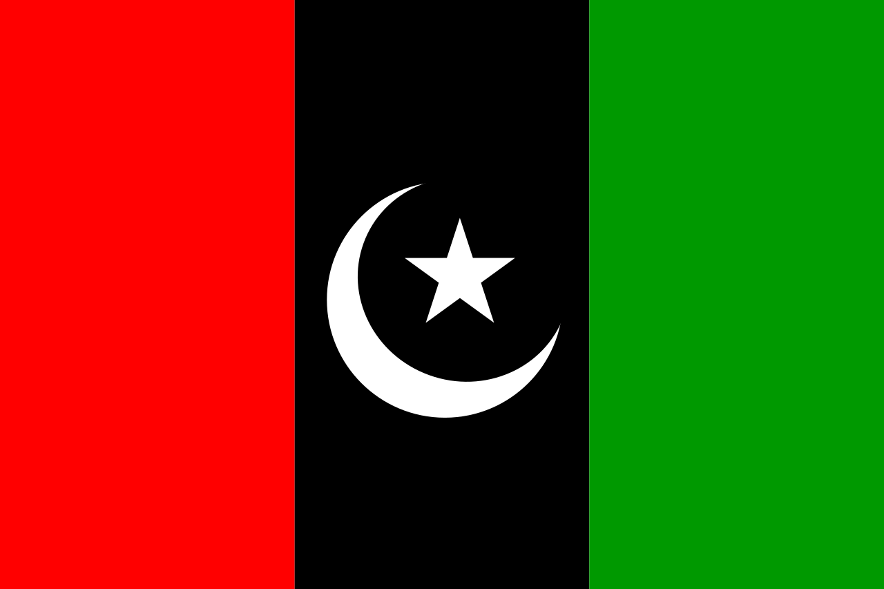 파일:파키스탄 인민당 로고.png